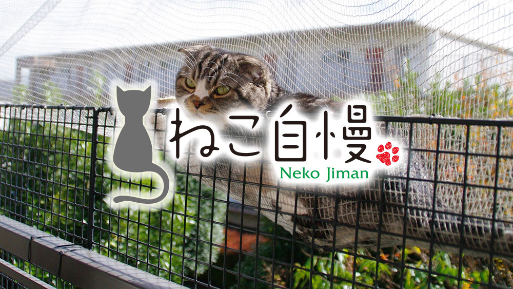 「ねこ自慢」