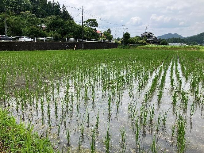 栃木県塩谷町のTBSGXの第一号発電所建設予定地