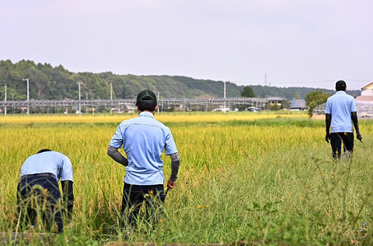 （株）アグロエコロジーの若手就農者たち