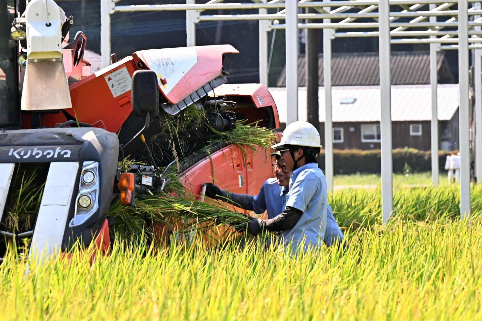 （株）アグロエコロジーの若手就農者たち
