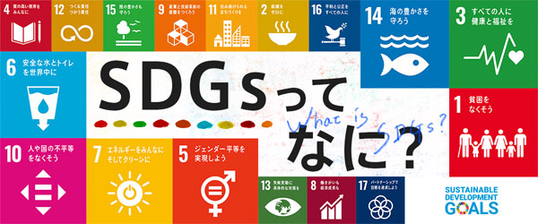 TBS SDGsサイト「SDGsってなに？」